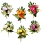 Immagine di FRONTALE 3 PEONIE CM.32