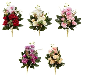 Picture of FRONTALE ROSE/PHALAENOPSIS CM.52