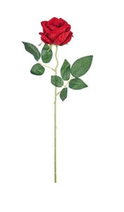 Picture of ROSA JULIET CM.50