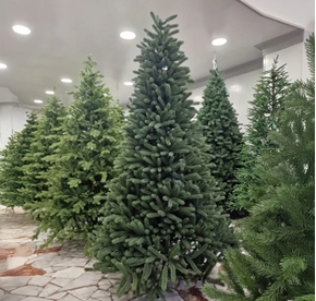Immagine per la categoria Alberi di Natale                                            