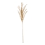 Immagine di TRALCIO FILLER GOLD CM.70