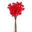 Immagine di BUNCH BACCHE FLOCCATE CM.30