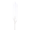 Immagine di CASCANTE AMARANTHUS CM.150