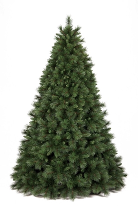 Immagine di ALBERO OLIMPO CM.240 TIPS 1931 ø CM.157 HOOK IN/INNESTO