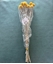 Immagine di CRASPEDIA NAT GIALLO SACCHETTO X 15 PZ