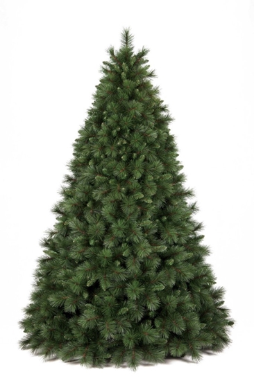 Picture of ALBERO OLIMPO CM.240 TIPS 1931 ø CM.157