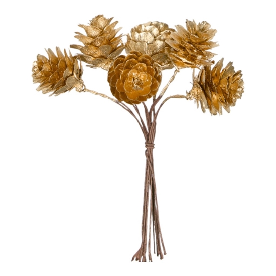 Picture of BUNCH PIGNETTE CM.14