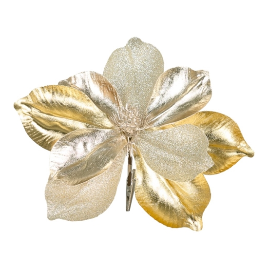 Picture of MAGNOLIA CON CLIP PLATINUM