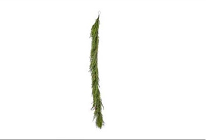 Picture of FESTONE AURUCARIA FORTUNE CM.180