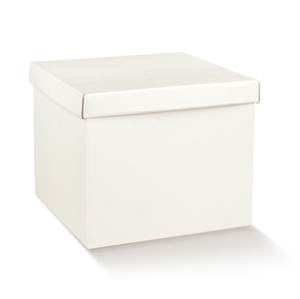 Immagine di SCATOLA F/C-EC-ON 250X250X300 FIBRA BIANCO